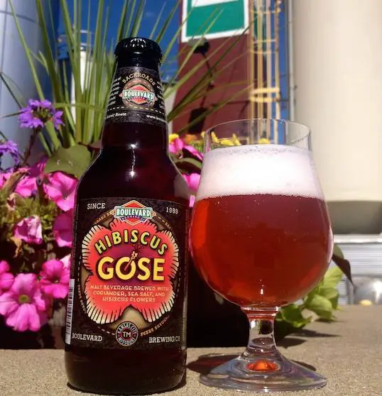 The Best Gose Beers: A Refreshing Journey for Beer Lovers