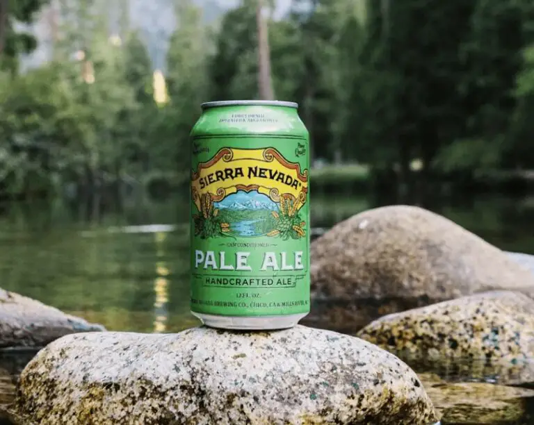 The 10 Best American Pale Ales!